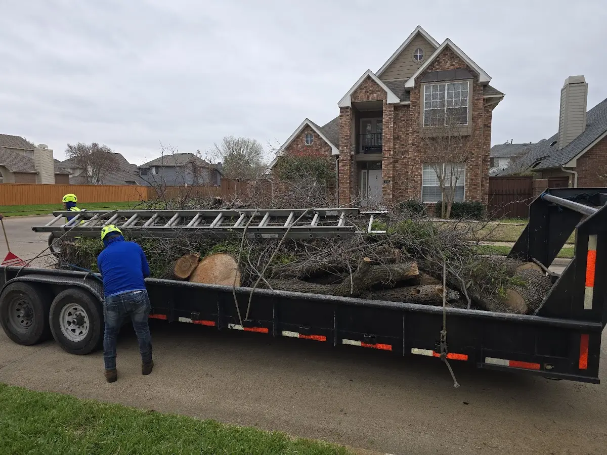 Expert Tree Fertilization with proper safety equipment in Pierpont